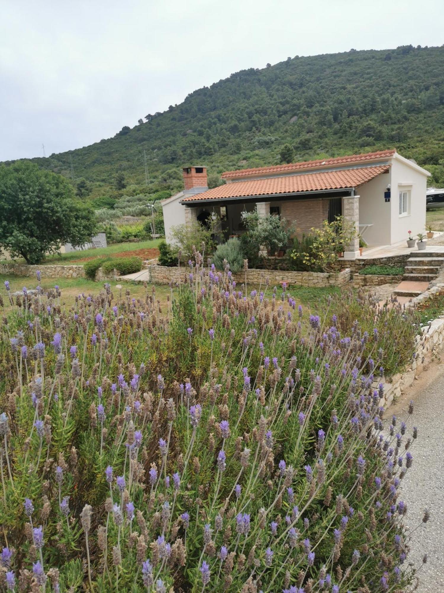 Holiday Home Cvitka Vis Exterior foto